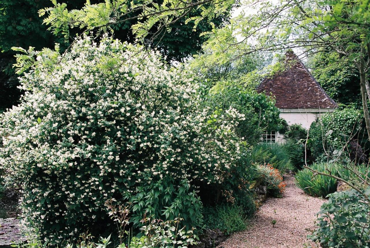 Le Pavillon De Vallet Bed & Breakfast Athee-sur-Cher Exterior photo